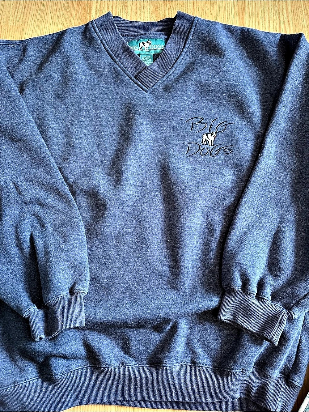 Big Dogs Blue V-Neck Sweatshirt